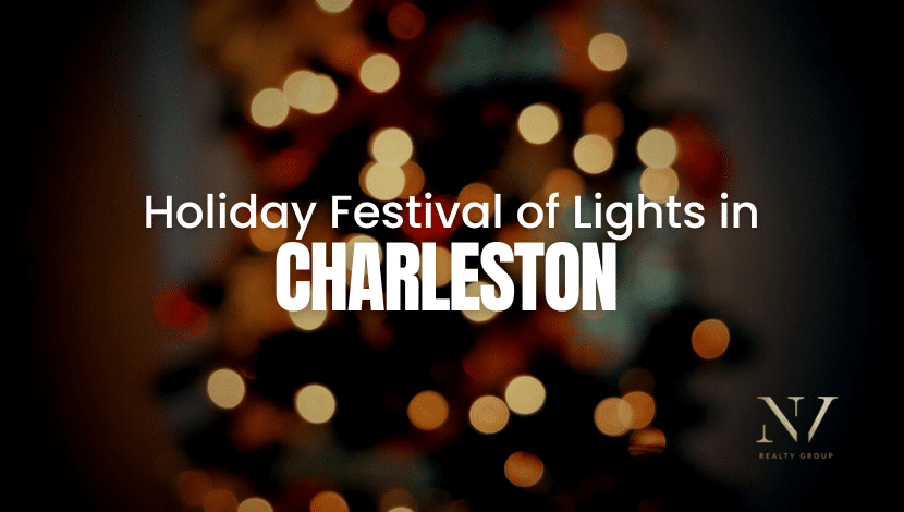 Holiday%20Festival%20of%20Lights%20in%20Charleston