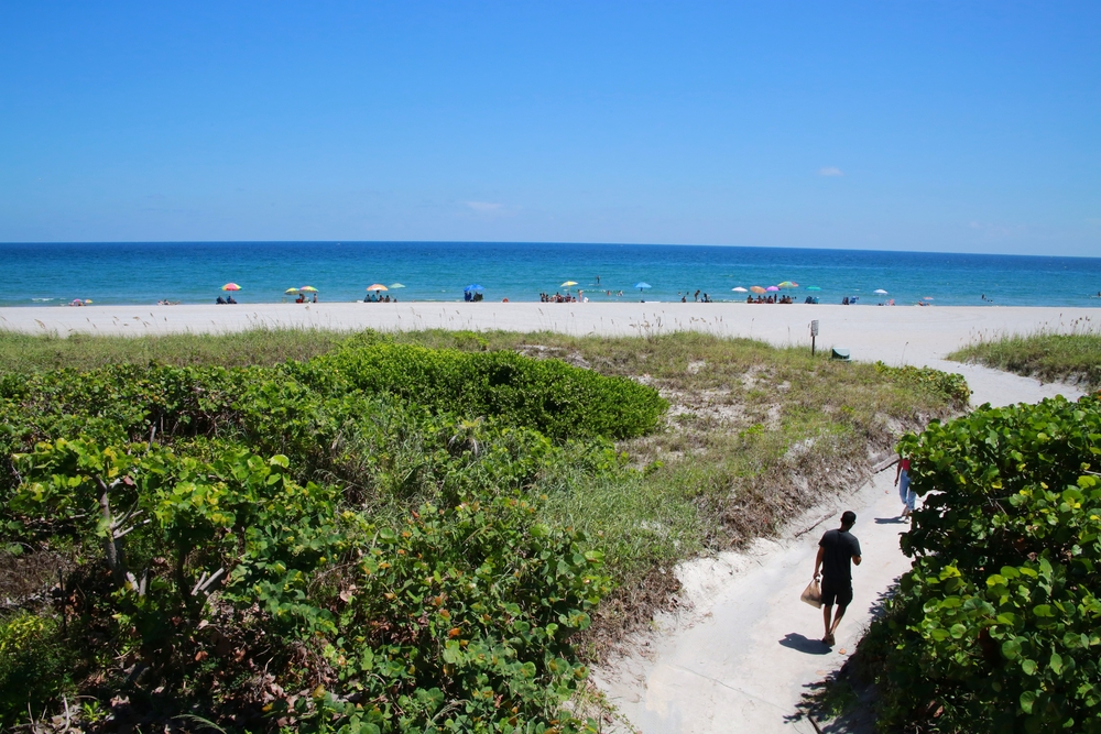 18 Can't Miss Things to Do in Boca Raton