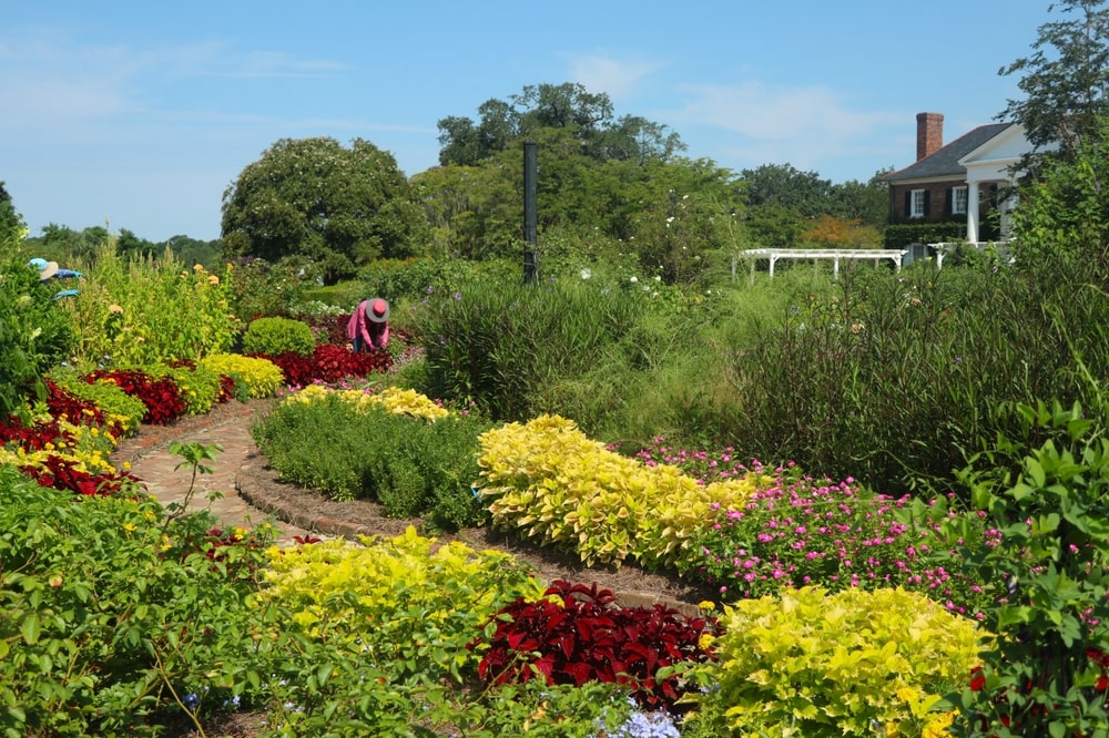 Garden pathway leading to a classic Lowcountry-style home near Charleston, SC
